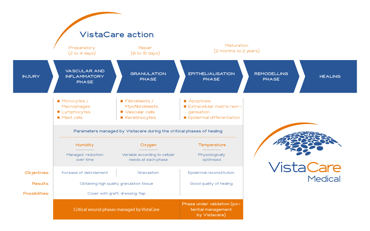 https://www.vistacare-medical.com/wp-content/uploads/2022/08/Schema-VistaCare_EN-3.jpg